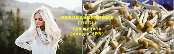 прущие крисы Шарыпово