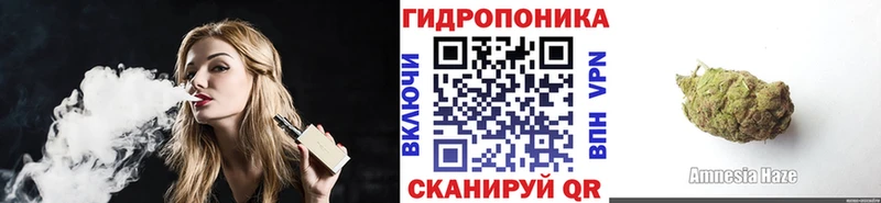 магазин продажи наркотиков  Власиха  нарко площадка какой сайт  Бошки Шишки ГИДРОПОН 